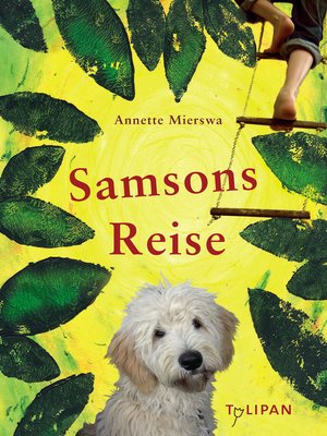 cover image of Samsons Reise